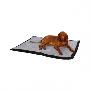 Dog Blanket Trip (1)